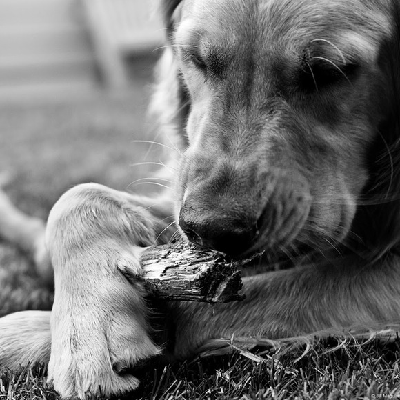 Meet your Posher, Ankshika - Picture 1 of 1